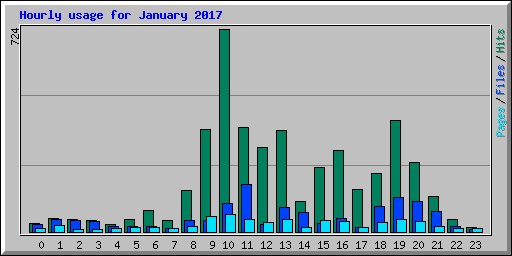 Hourly usage for January 2017